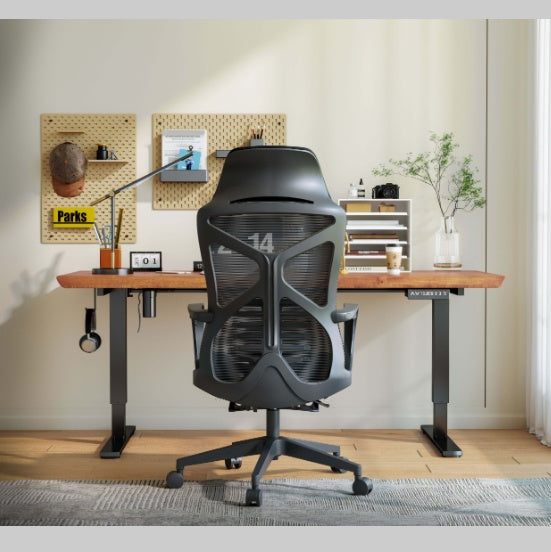 Ergonomic Office Chair